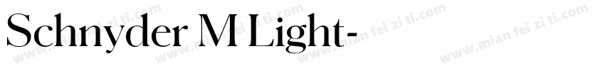 Schnyder M Light字体转换